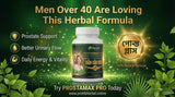 🌿 PROSTAMAX PLUS